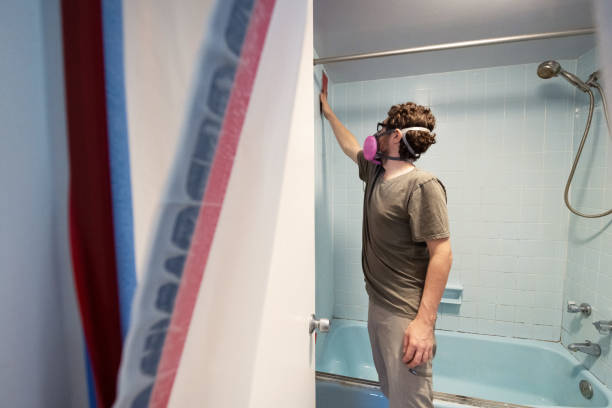 Best Asbestos and Lead Testing During Mold Inspection  in Wood Village, OR