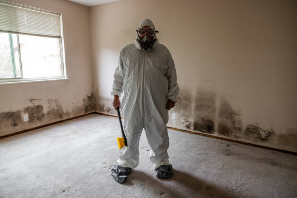 Best Mold Damage Restoration  in Wood Village, OR